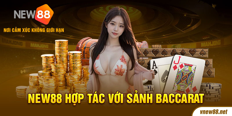 Điểm mặt các sảnh Baccarat tại New88